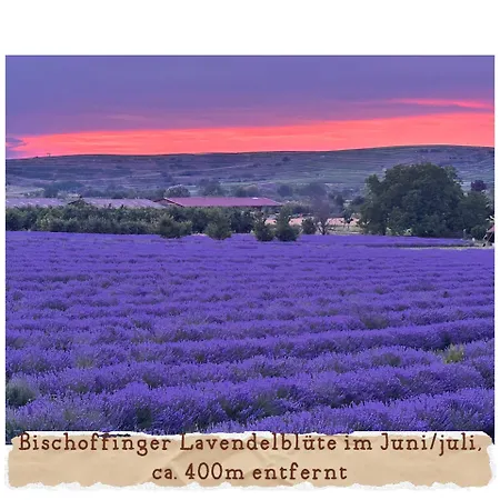 Am Amthof Zur Mondhalde In Bischoffingen *
